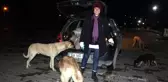 Sokak köpekleri onu kornasından tanıyor