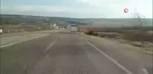 Koyunlar firardaKoyun koyuna yolculukta firar eden koyunlar başka bir araç sürücüsü tarafından fark edildi