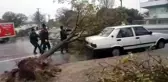 Fırtınada ağaç kökünden söküldü, aracın üzerine devrildi