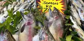Karadeniz'in yerli somonu Norveç'e rakip