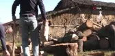 Öğrenciler üşümesin diye baltasını kapan okul müdürleri kampa koştu