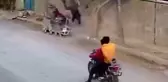 Çöp konteynerine çarpıp takla attı, çöpteki kedi fırladı