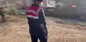 Köpek dövüştürenler jandarma ekiplerince yakalandı