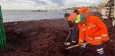 Lüks semtte boydan boya kırmızıya bürünmüş sahili gören vatandaş: Marmara Denizi kusuyor sandım