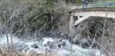 RİZE'DE KAMYONET DEREYE UÇTU 1 ÖLÜ, 4 YARALI