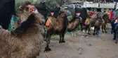Son dakika haberi... Turgutlu'da 