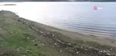 Ekipler piknikçilerin çöplerini temizledi