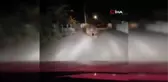 Erzincan'da köyün içine giren ayı böyle görüntülendi