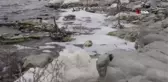Burdur Gölü'ndeki köpükleri gören vatandaşlar şaşkınlığa uğradı