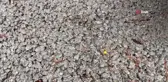 Isparta'da su emen geçirimli betonla yağmur suyu depolanıyor