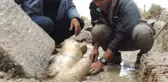 Aizanoi Antik Kenti'ndeki kazı çalışmalarında 