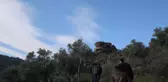 Alinda'da keşfedilen mağara resimleri bölgenin geçmişini tarih öncesine taşıdı