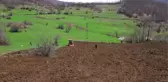 Ordu'da atıl araziler ekonomiye 75 milyon TL kazandırdı