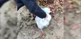 Son dakika haberi | Uyuşturucu operasyonunda 5 şüpheli tutuklandı