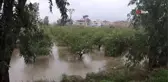 Asi Nehri taştı bahçeler sular altında kaldı