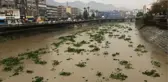 Son dakika haber! HATAY'DA SAĞANAK; ASİ NEHRİ'NİN SU SEVİYESİ YÜKSELDİ