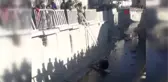 Avcılar'da bisikletli yaşlı adam 5 metre yükseklikten dereye uçtu