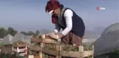 Üniversiteden mezun oldu ailesiyle çilek üretimine başladı: 