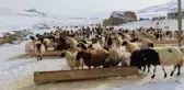 Devlet desteğiyle iş sahibi olan eski hükümlüler geleceğe umutlu bakıyor
