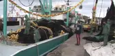 Kar yağdı balık lezzetlendi