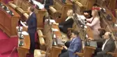 TBMM Başkanı Şentop Sırbistan'da ortak basın toplantısında konuştu