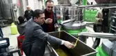 ZEYTİNYAĞINDA HİLEYE DİKKAT