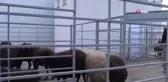 Oltu Cağ Kebap Fabrikası deneme üretimine başladı