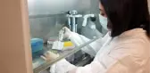 Turkovac aşısının üretildiği merkezi DHA görüntüledi
