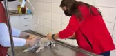 YARALI BULUNAN KURT YAVRUSU TEDAVİYE ALINDI