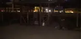 ESENYURT'TA EVSİZ KİŞİ YAŞADIĞI PARKTA ÖLÜ BULUNDU