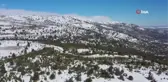 Toros dağlarında yaban hayvanlarına yem bırakıldı