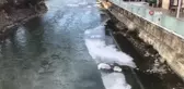 Türkiye'nin en hızlı akan nehri olan Çoruh buz tuttu