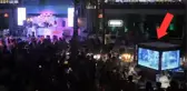 Ünlü gece kulübünde akvaryuma hapsedilen köpek balığı için Almanya'dan çağrı: Ölümcül sonuçları olabilir