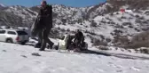 Şırnak'ta yaban hayvanları için yem bırakıldı