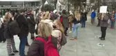 Hayvanseverlerden sokak hayvanlarının toplatılmasına ilişkin öneriler