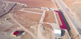KAHRAMANMARAŞ - Sahipsiz sokak hayvanları toplanıyor