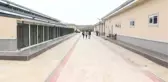 Belediyeler sahipsiz hayvanlara bakabilmek için özveri ile çalışıyor