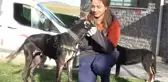 İtfaiyenin alevlerden kurtardığı pitbull hayata tutundu