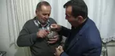 KAHRAMANMARAŞ - Bitkin halde bulunan keklik katarakt teşhisiyle ameliyat edildi