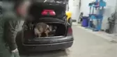 15 kilo 10 gram eroin ele geçirildi
