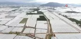 Kumluca'da sel 2 bin dönüm seraya zarar verdi... Domatesler ve patlıcanlar sular altında kaldı