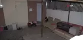 Sivas'ta pitbull paniği