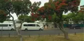 CAPE TOWN - Güney Afrika, apartheid ile mücadelenin simgesi Tutu'yu son yolculuğuna uğurluyor (2)