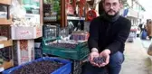 İki senede bir yetişiyor, faydası saymakla bitmiyor
