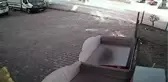 Son dakika! Sokak köpeklerinin saldırısına uğrayan çocuk yaralandı