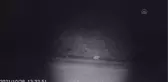 Yaban hayatı fotokapana yansıdı