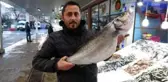 Karadeniz'de yakalanan 8 kiloluk levrek 2 bin liradan tezgahta