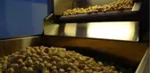 300 bin liraya kurduğu tesiste talebe yetişemiyor