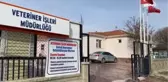 Kediden atmacaya yüzlerce sokak ve yaban hayvanı rehabilite ediliyor