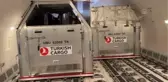 Turkish Cargo, 63 atı ABD'den Türkiye'ye güvenle taşıdı